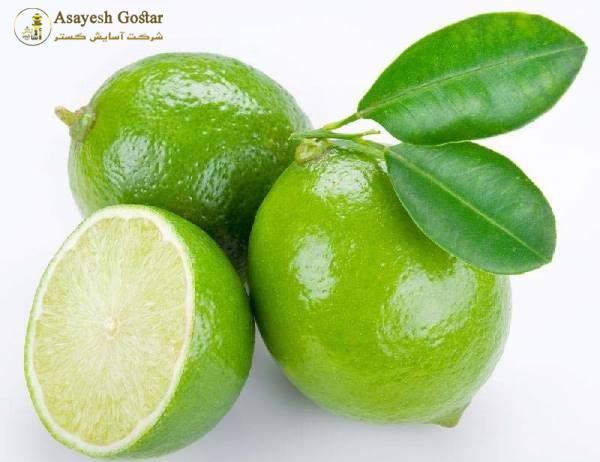 فروش نهال لیمو ترش شیراز