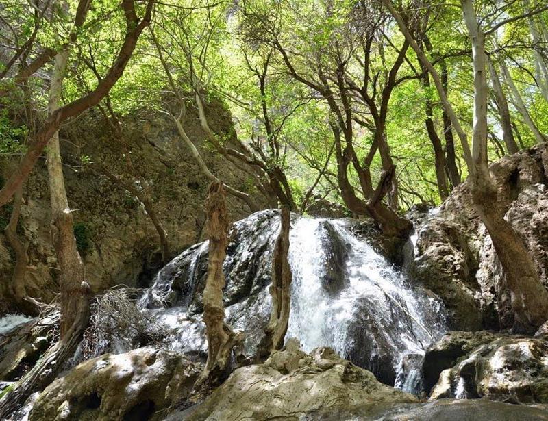 بهشت گمشده